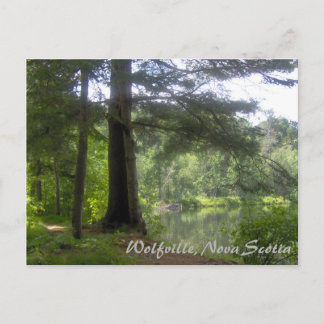 Lakeside Woodland Postcard