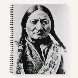 Lakota Chief Surrender: Sitting Bull Fort Buford Notebook