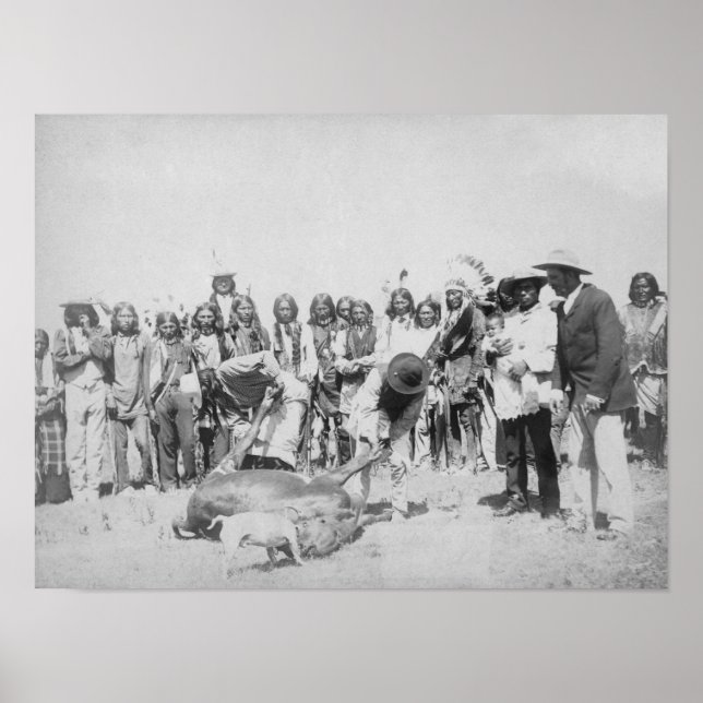Lakota Indians Skinning Cattle Photograph Poster (Front)