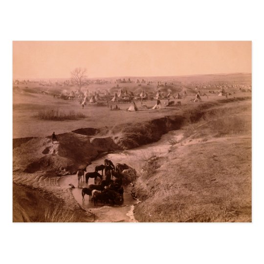 Lakota Tipi Camp Postcard
