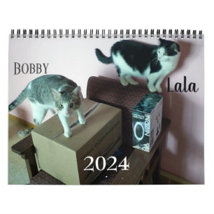 Lala & Bobby Personalised Cat Calendar 2024