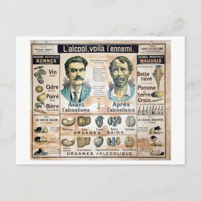 L'Alcool Voila l'Ennemi #1 Postcard (Front)