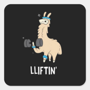 Lama in the gym - lifting weights				 square sticker