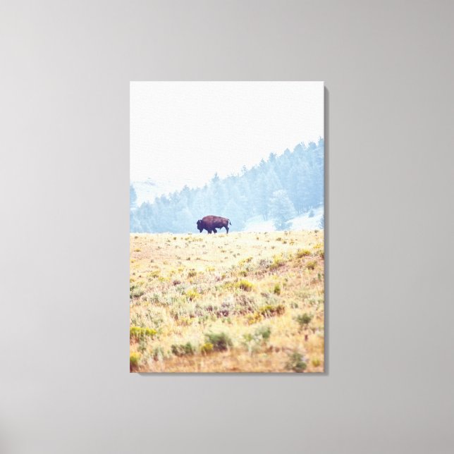 Lamar Canvas Print (Front)