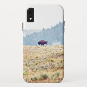 Lamar iPhone XR Case