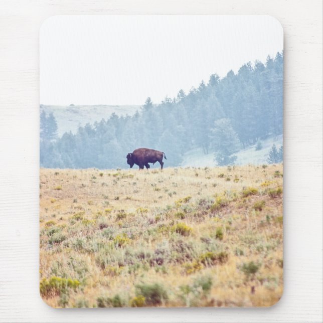 Lamar Mouse Mat (Front)