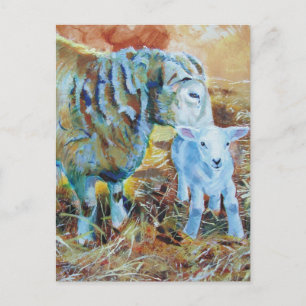 Lamb and sheep painting postcard