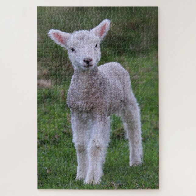 Lamb Baby Sheep Farm Animal Jigsaw Puzzle (Vertical)