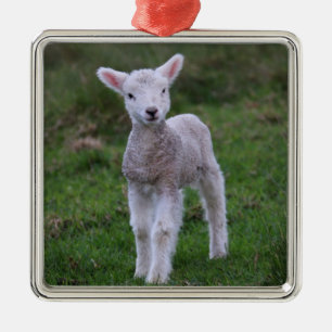 Lamb Baby Sheep Farm Animal Metal Tree Decoration