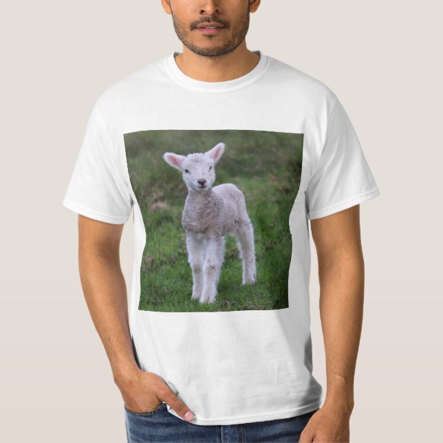 Lamb Baby Sheep Farm Animal T-Shirt (Front)