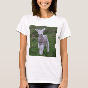 Lamb Baby Sheep Farm Animal T-Shirt