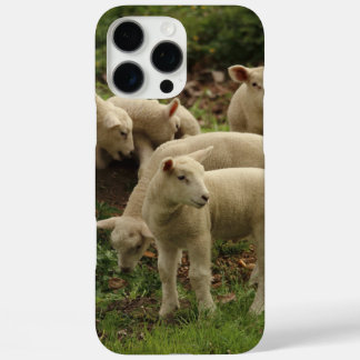 Lamb iPhone 16 pro max case