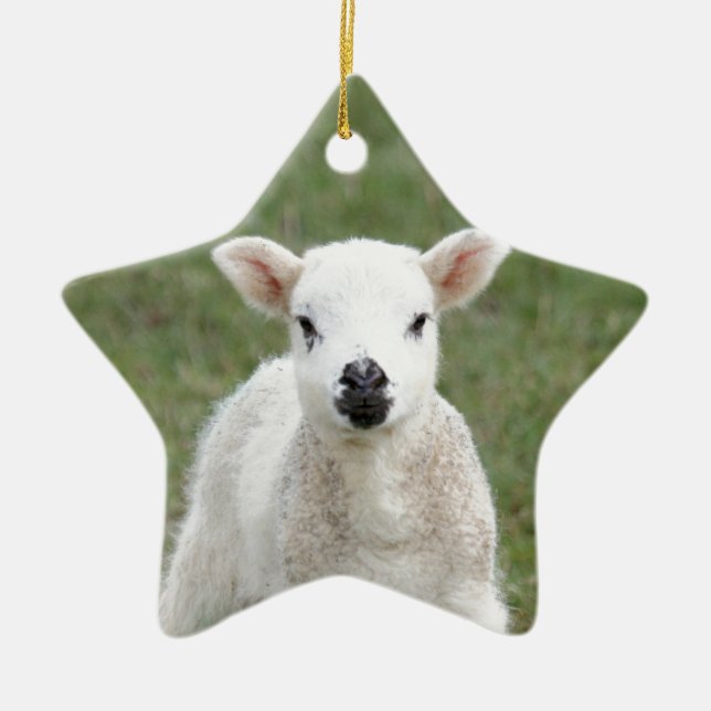 Lamb Ceramic Tree Decoration (Front)