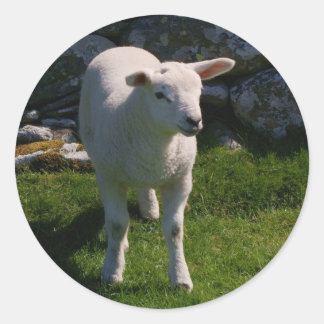 Lamb Classic Round Sticker