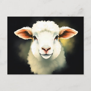 Lamb Face with Abstract Strokes Postcard