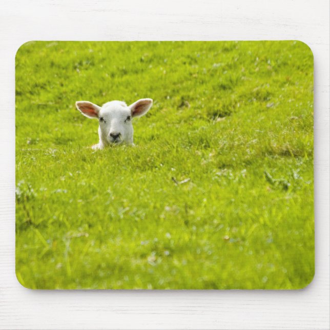lamb in a dip mouse mat (Front)