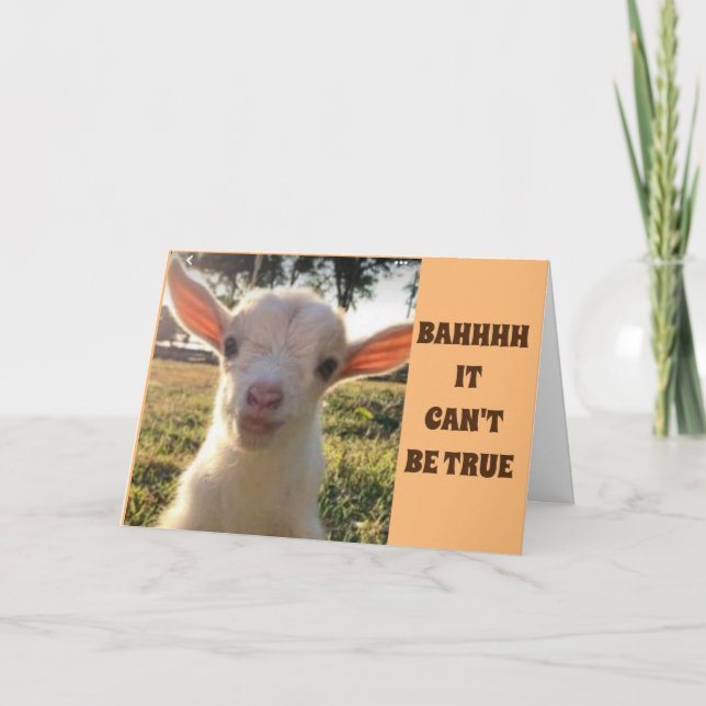 LAMB JUST CAN'T BELIVE YOU ARE *80* BIRTHDAY CARD (Front)