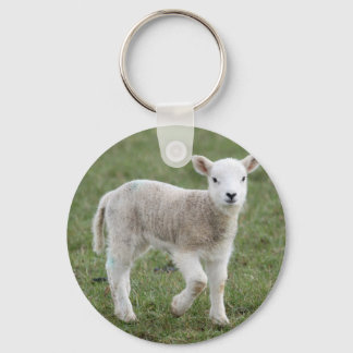 LAMB KEY RING