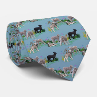 Lamb Meadow Tie (Sky Blue Mix)