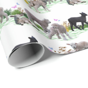 Lamb Meadow Wrapping Paper (choose colour)