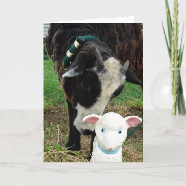 Lamb Meet Lamb all occasions Card (Front)