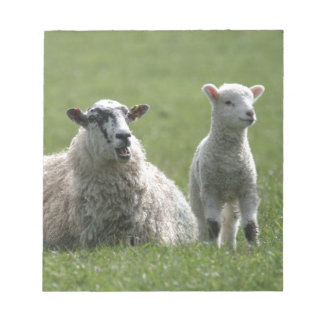Lamb Notepad