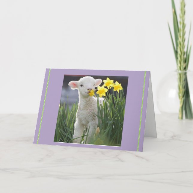 Lamb of Easter, no overrated bunnies Holiday Card (Front)