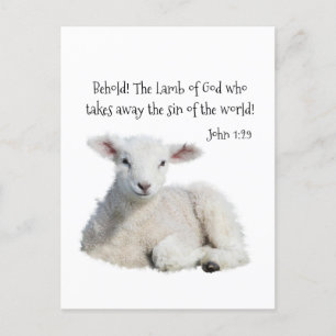 Lamb of God  Postcard