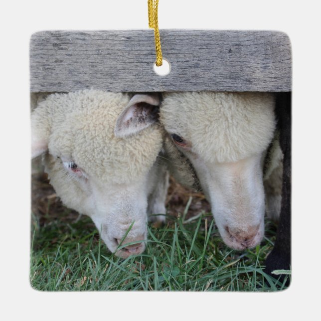 Lamb ornament (Front)