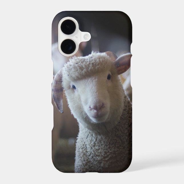 Lamb Paused iPhone 8/7 Case (Back)