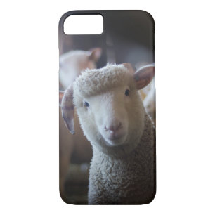 Lamb Paused iPhone 8/7 Case