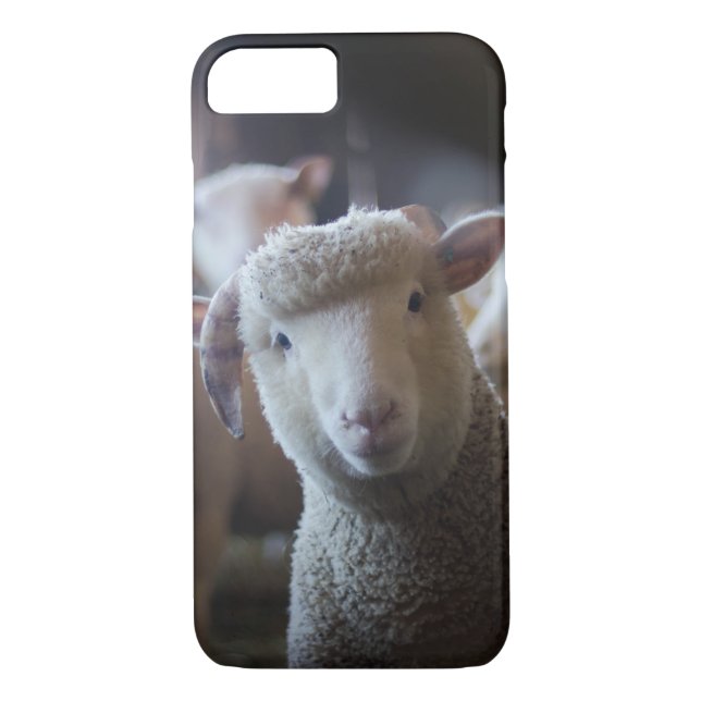 Lamb Paused iPhone 8/7 Case (Back)
