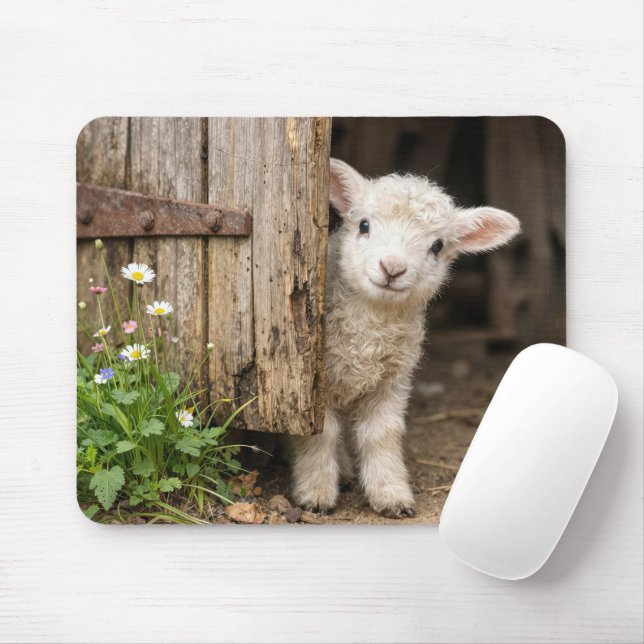 Lamb Peeking Around a Barn Door Mouse Mat (With Mouse)