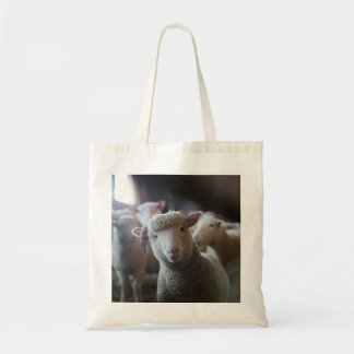 Lamb Photo Tote Bag