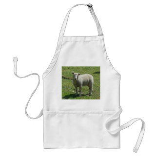 Lamb Picture Standard Apron