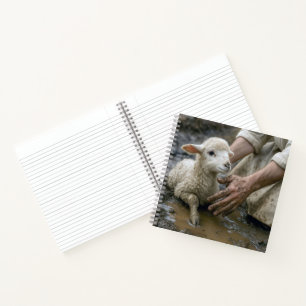 Lamb Rescued By a Shepherd Notebook