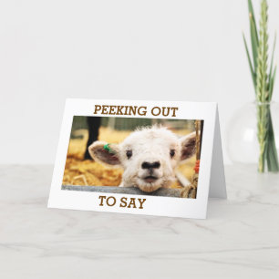 LAMB SAYS "HAVE A VERY HAPPY BIRTHDAY" HOLIDAY CARD