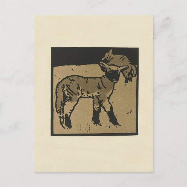 Lamb - Square Animals Illustration Postcard (Front)