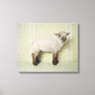 Lamb Standing Indoors, and Floral Wallpaper Canvas Print