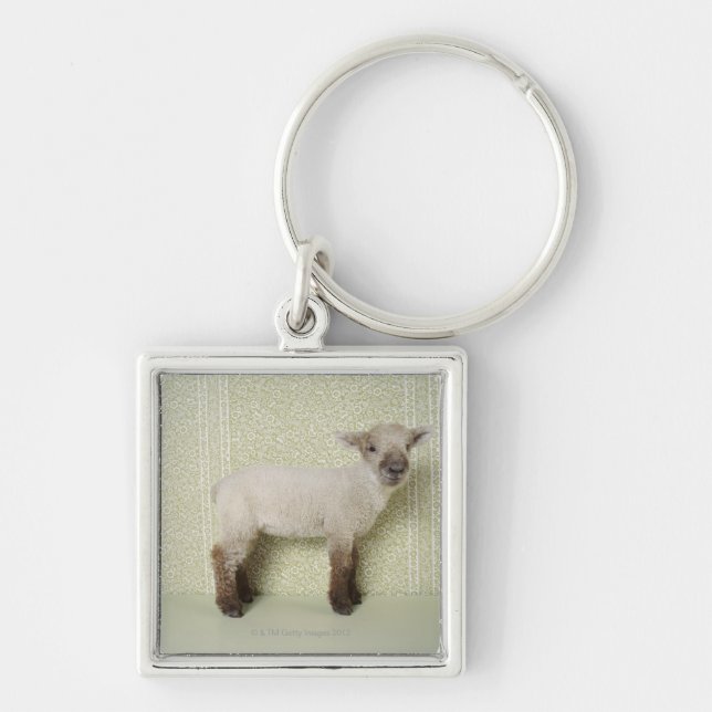 Lamb Standing Indoors, and Floral Wallpaper Key Ring (Front)
