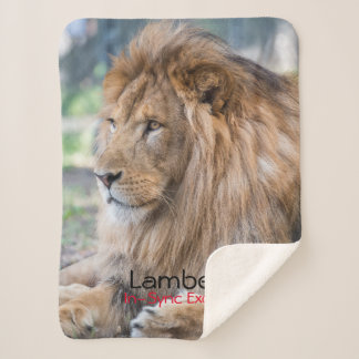 Lamber -  sherpa blanket