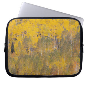 Lambert Hollow, aspen trees Laptop Sleeve