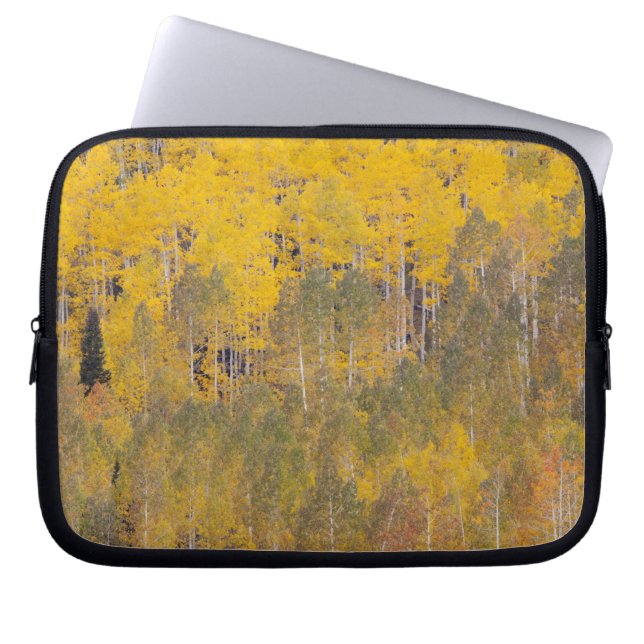 Lambert Hollow, aspen trees Laptop Sleeve (Front)
