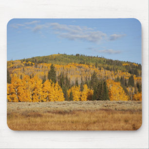 Lambert Hollow, aspen trees Mouse Mat