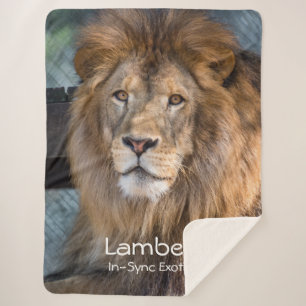Lambert -  sherpa blanket