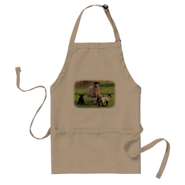 Lambs apron (Front)