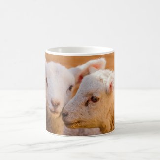 Lambs Coffee Mug