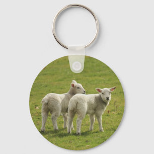 Lambs Key Ring