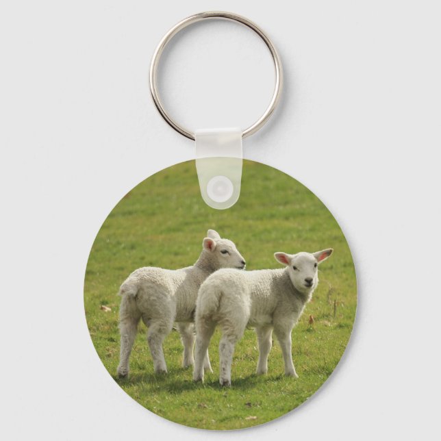 lambs key ring (Front)