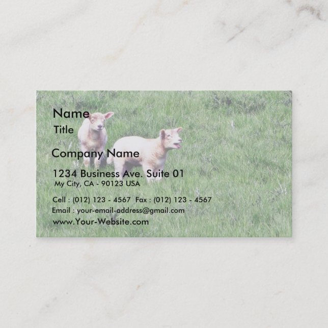 Lambs Sheep Business Card (Front)